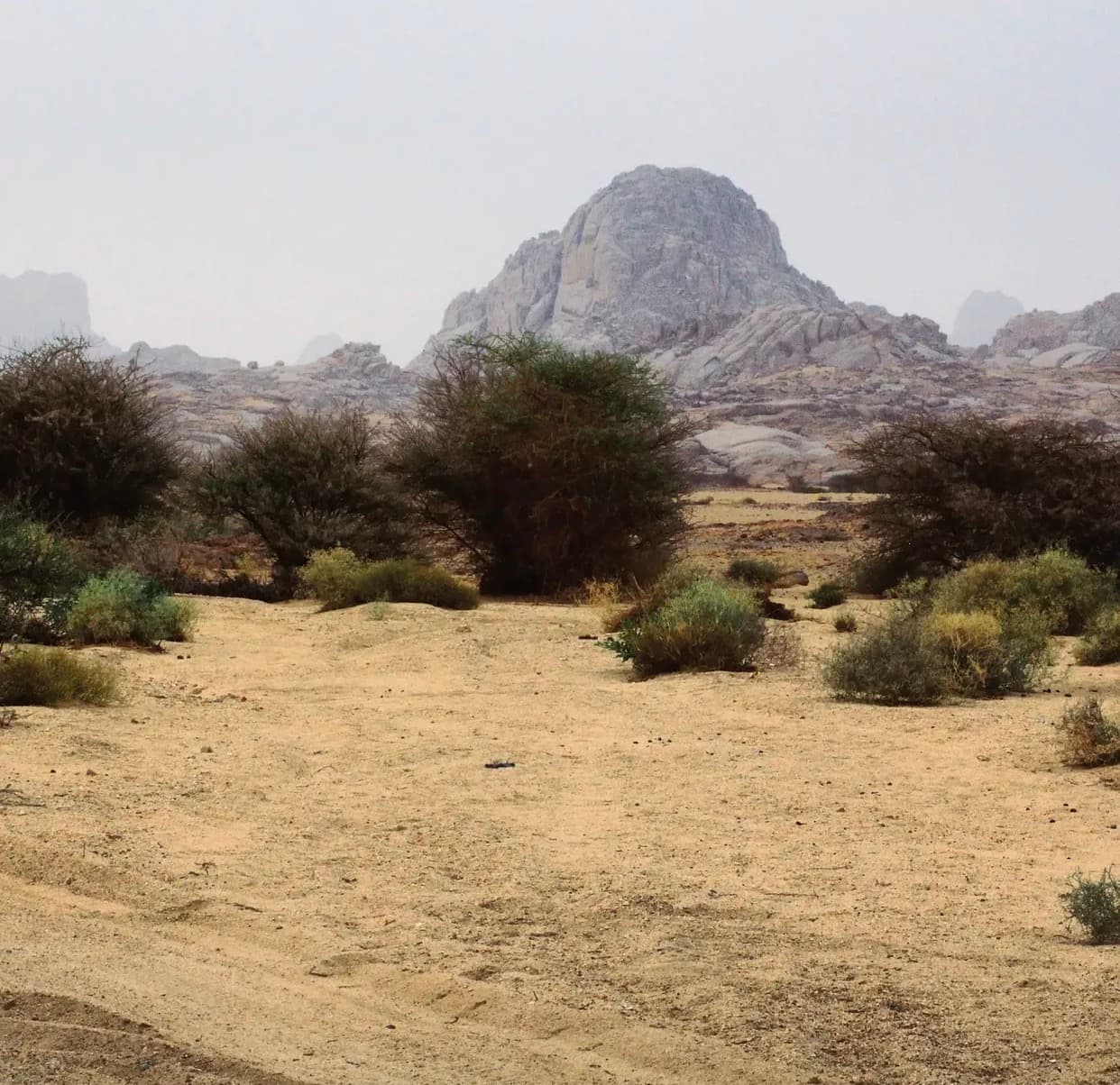 جبال الهقار